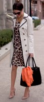 trench coat with animal print dress