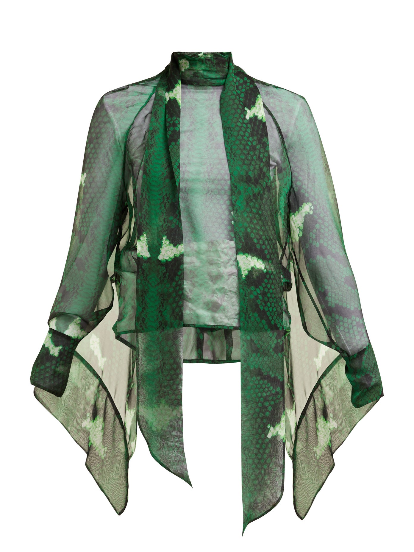 Fall Into Autumn Colors 2019, forest green, Petar Petrov snake print green blouse
